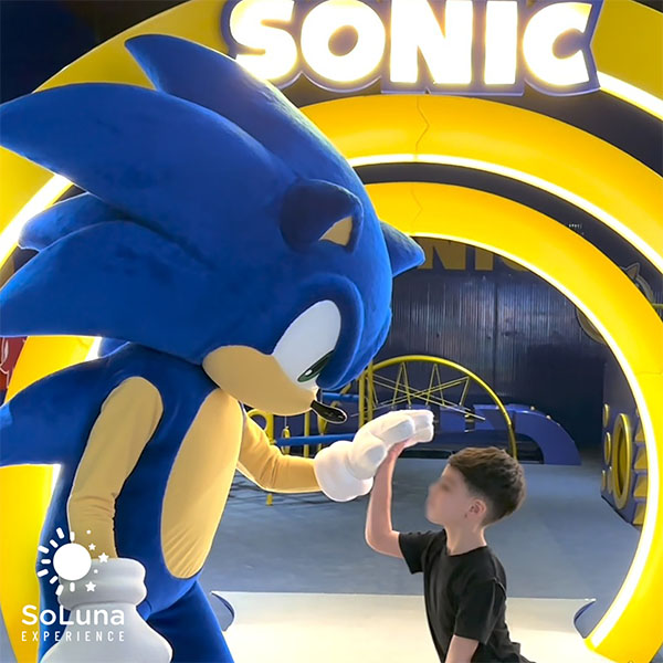 january recap sonic soluna january recap sonic soluna